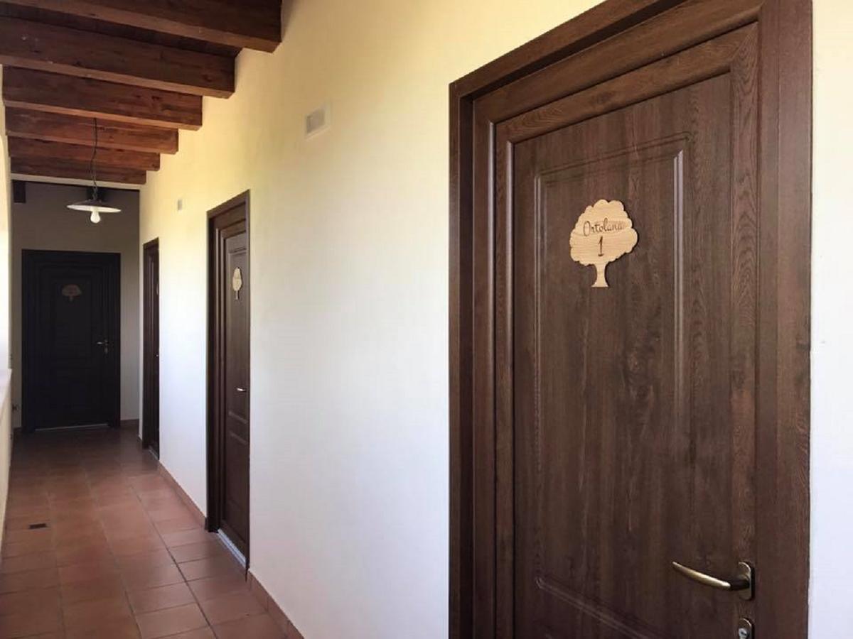 Agriturismo L'Ulivo Padula Exterior photo